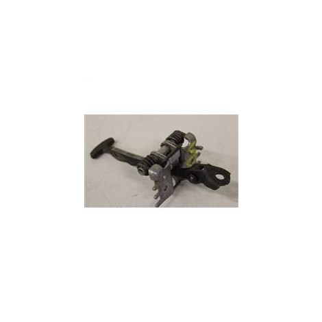 FLUENCE KAPI GERGİSİ ARKA 824300003R