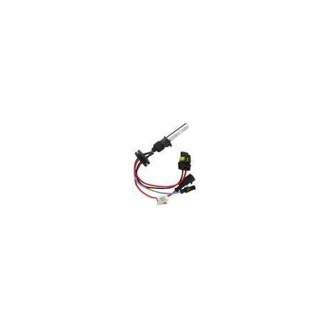 H1 Xenon Yedek Ampul 8000K