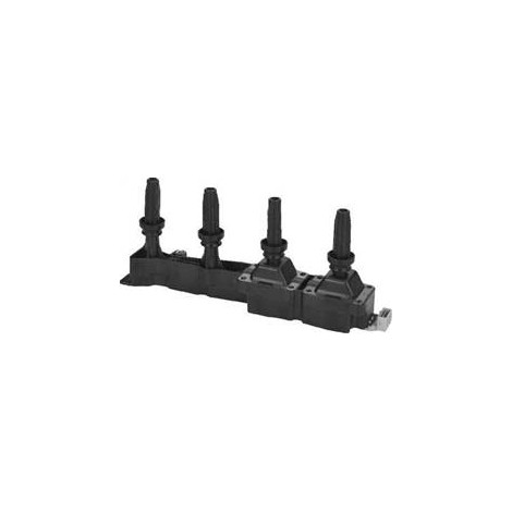 Citröen C2 Ateşleme Bobini 1.6 16V 597080
