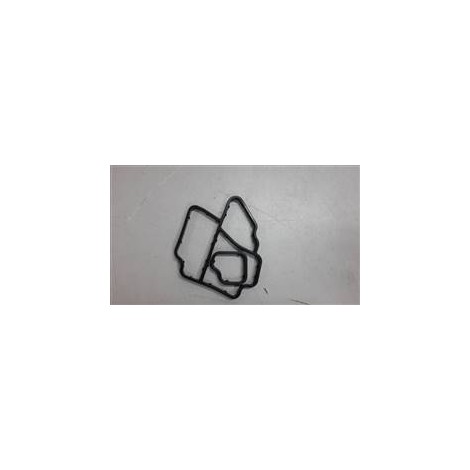 Skoda Rapid Yağ Filtre Tutucusu Contası Takım 03L198441 1.6 motor 2012-2014
