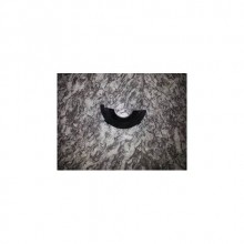 TRANSPORTER TRİGER ÜST KORUYUCU 026109173 A  1.8 - MOTOR 1991-1994