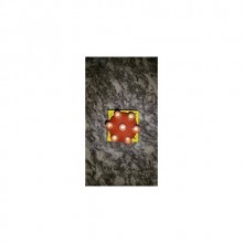 LT 35 VOLT DİSTRİBİTÖR KAPAK DL-HS MOTOR 1983-1989 2.4-1.5 MOTOR