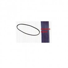 Palio 1.4 8Valf Direksiyon Kayışı