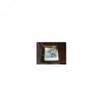 AUDİ A2 YAG POMPASI 2001-2005