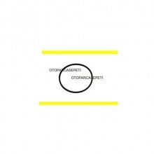 SEAT TOLEDO DİREKSİYON KAYIŞI 1992-1999 MODEL 1.4-1.6-1.8-2.0 1F ABS 2E ABF ADZ AGG MOTOR