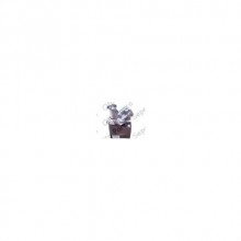 Hyundai Starex 2002-2008 Devirdaim