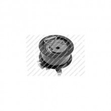 CRAFTER EKSANTRİK GERGİ RULMANI 2007-2010 2.5 TDİ İTHAL