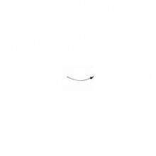 Partner El Fren Teli